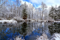 winter early nature wallpapers snow landscape desktop background trees hd